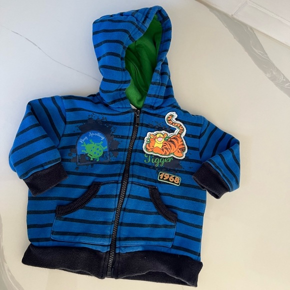 Disney Baby Tigger Blue Striped Hoodie Bugs Outdoor Theme 12M Baby - Picture 4 of 7